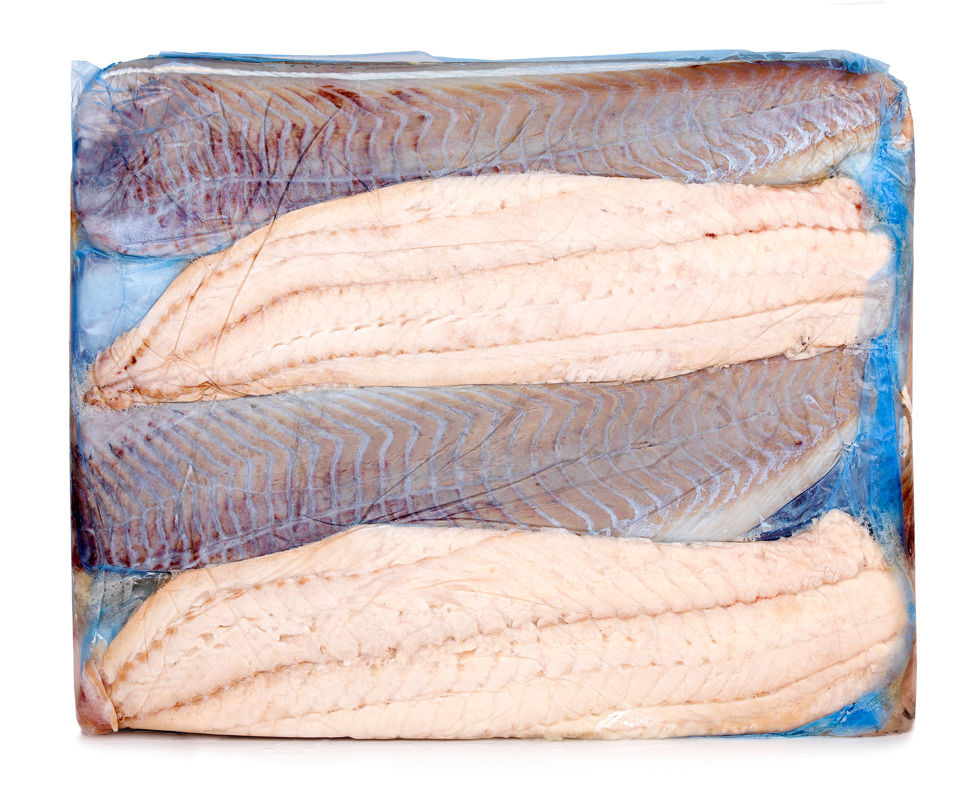 Filete Escamudo c/ Pele 500/1000 g Congelado Cx 11 kg Filete Escamudo c/ Pele 500/1000 g Congelado Cx 11 kg