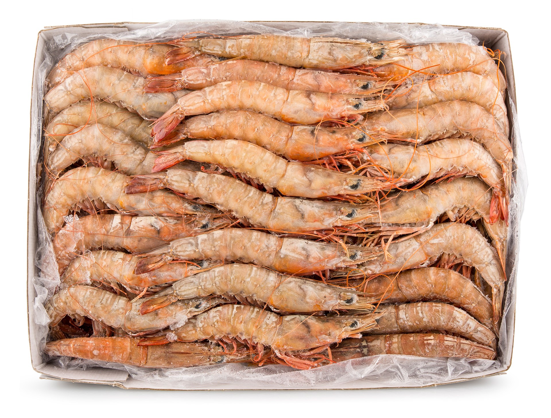 Camarão Brown 30/40 Congelado Moçambique Cx 2 kg Camarão Brown 30/40 Congelado Moçambique Cx 2 kg