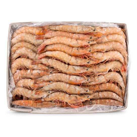 Camarão Brown 30/40 Congelado Moçambique Cx 2 kg Camarão Brown 30/40 Congelado Moçambique Cx 2 kg