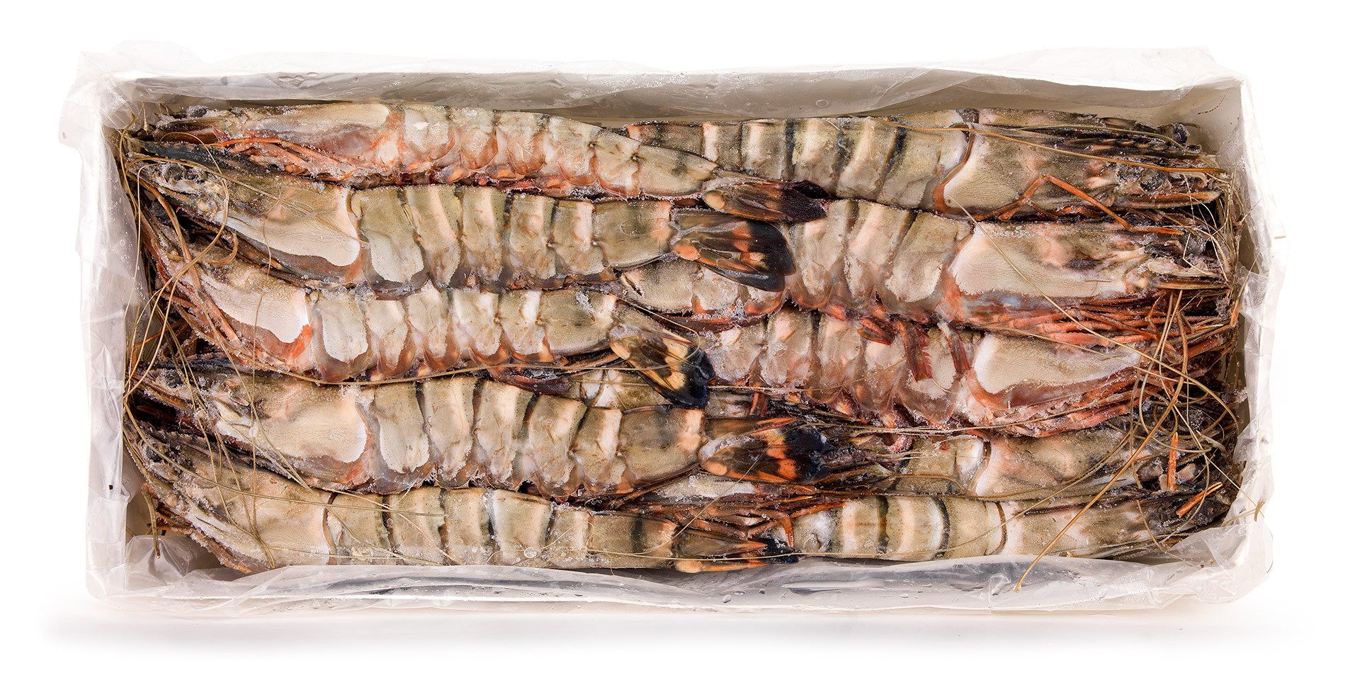 Camar�o Tigre 16/20 Congelado Nig�ria Cx 2 kg