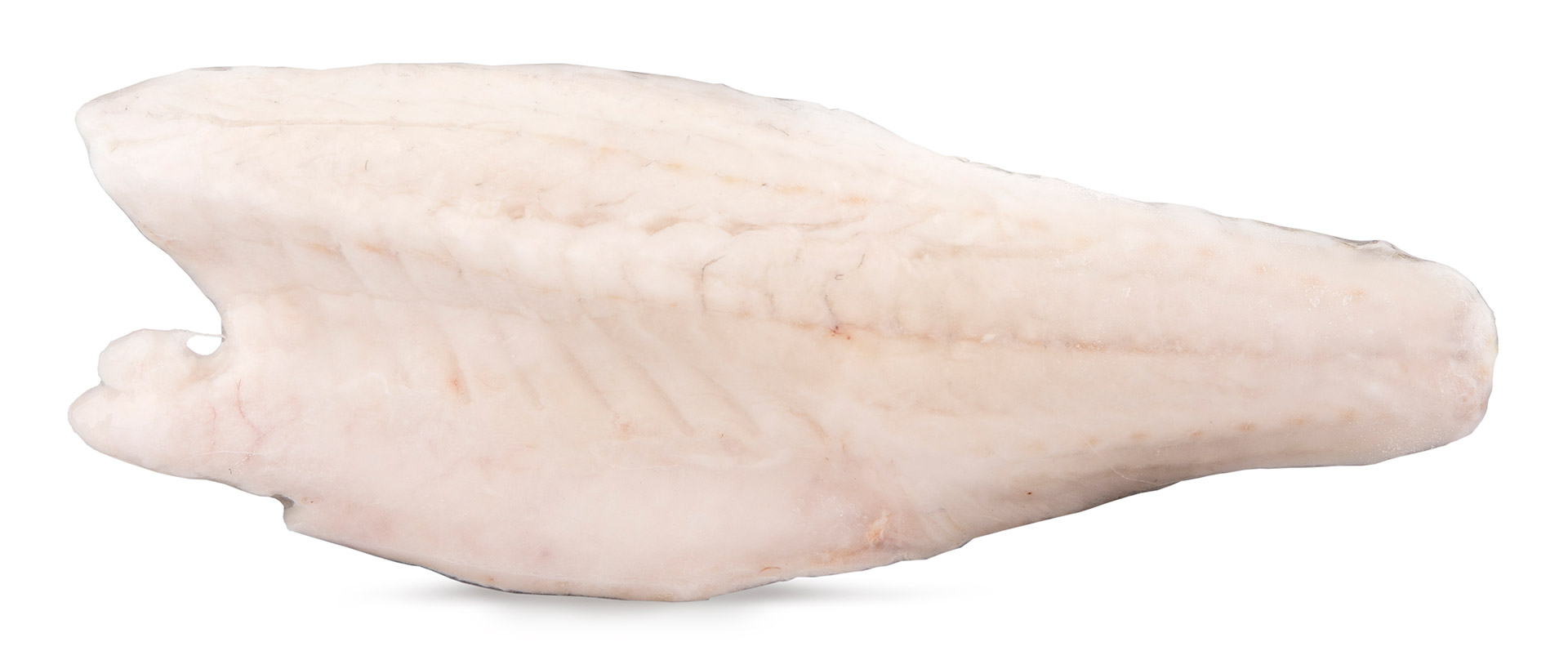 Filete Robalo c/ Pele 120/140 g Congelado Cx 5 kg