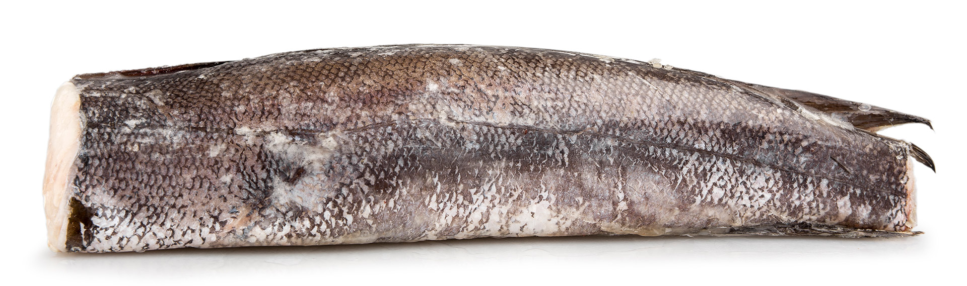 Pescada Inteira Nº5 1200/1800 g Congelada África do Sul IQF Pescada Inteira Nº5 1200/1800 g Congelada África do Sul IQF