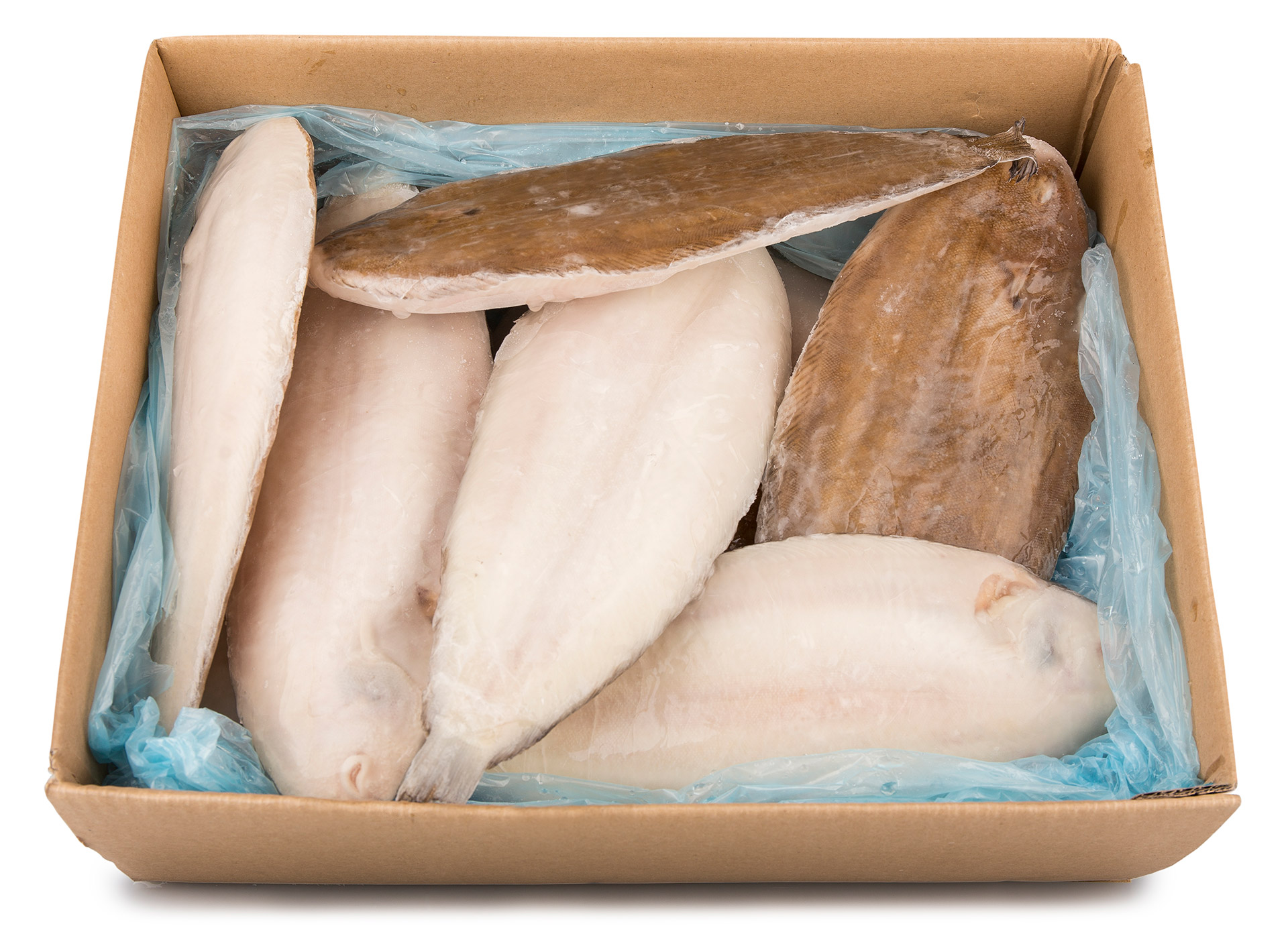 Linguado 300/350 g Congelado Legítimo Cx 5 kg Linguado 300/350 g Congelado Legítimo Cx 5 kg