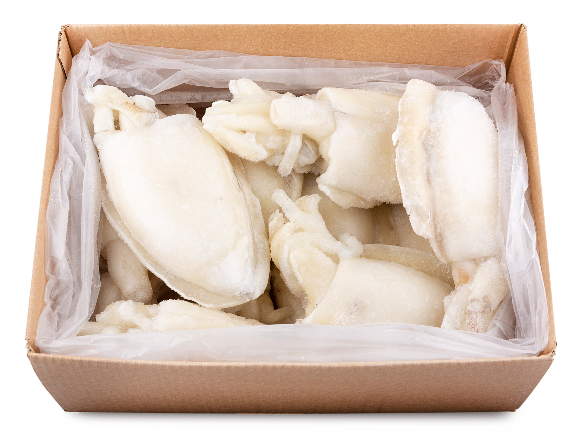 Choco Limpo 500/700 g Congelado  Avulso