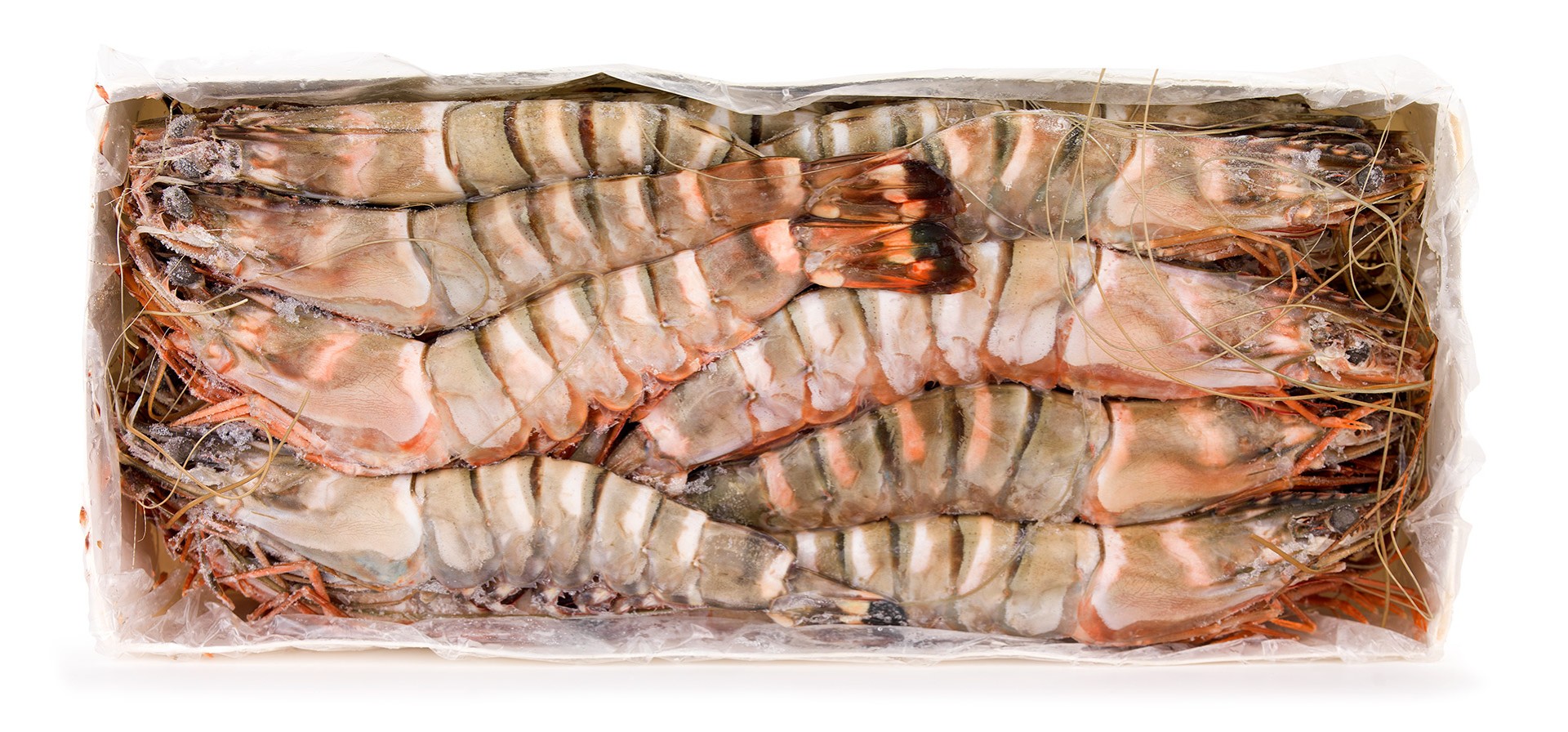 Camar�o Tigre 10/15 Congelado Nig�ria Cx 2 kg