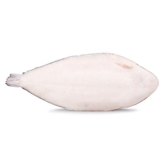 Linguado 350/400 g Congelado Legítimo Cx 5 kg Linguado 350/400 g Congelado Legítimo Cx 5 kg