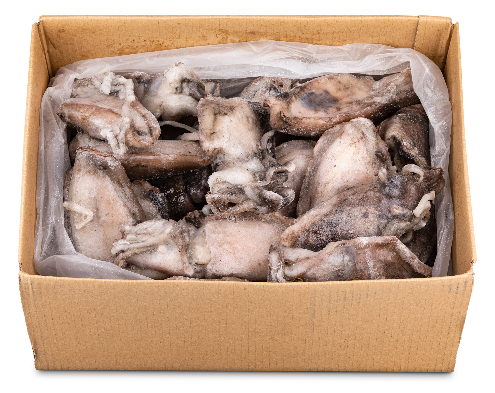 Choco Inteiro 200/300 g Congelado Cx 6 kg