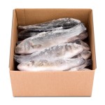 Robalo Inteiro 200/300 Higienizado Congelado Uli Cx 4 kg
