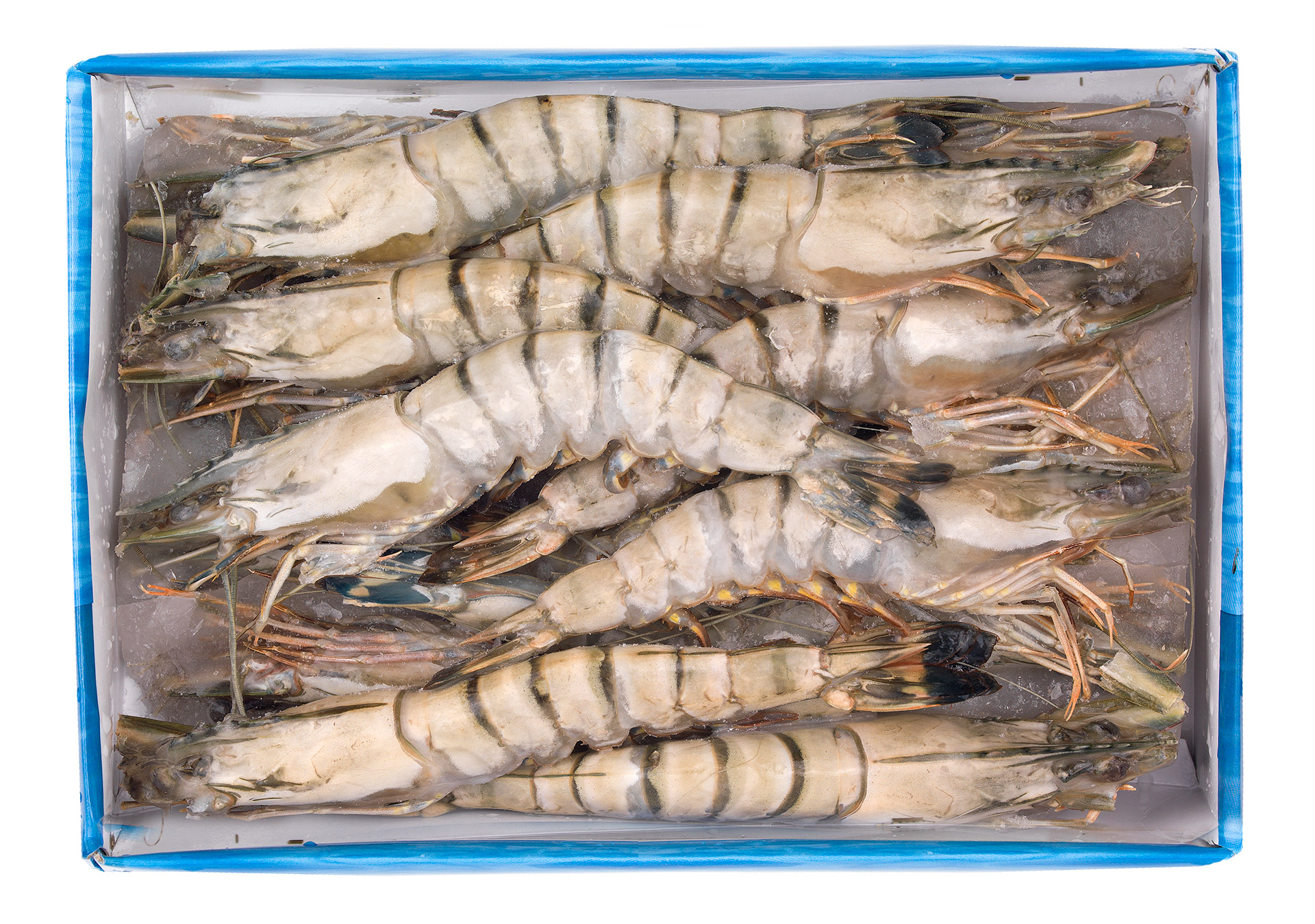 Camar�o Black Tiger 13/15 Congelado Cx 750 g