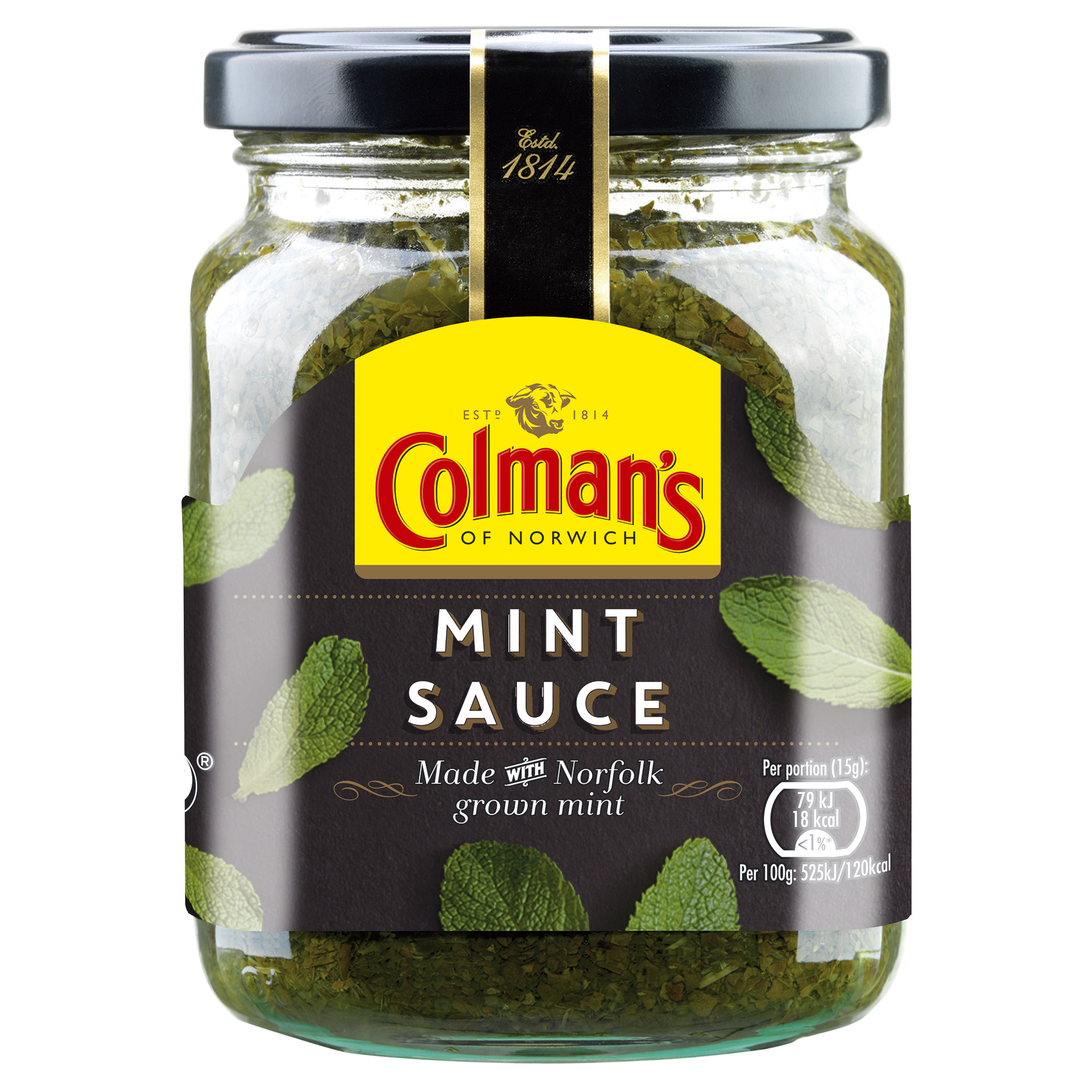 Molho Menta Colmans 8x165 g