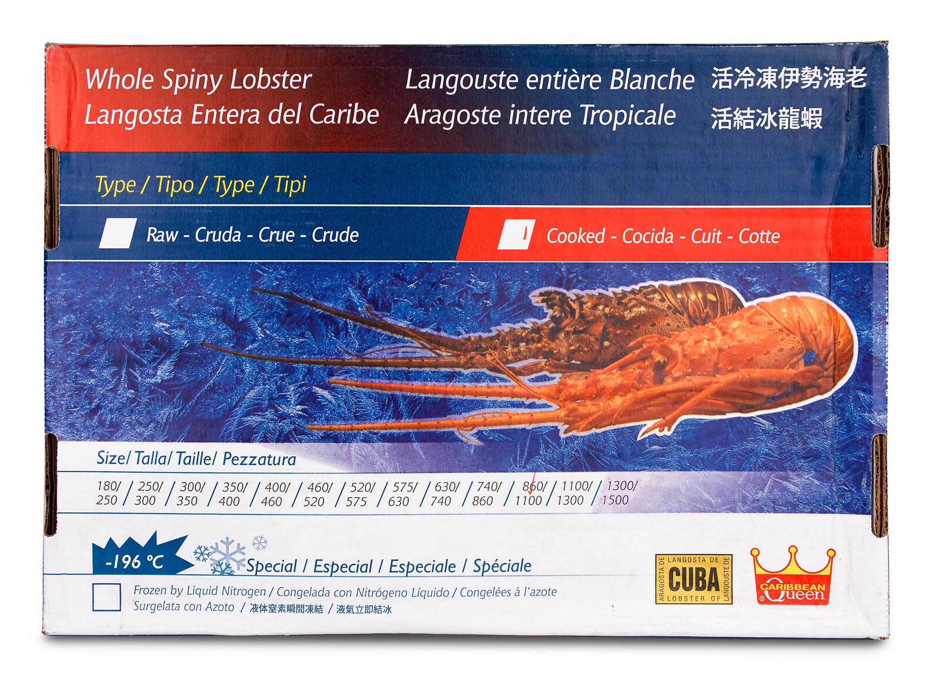 Lagosta Cozida 860/1100 g Congelada Cuba Cx 10 kg