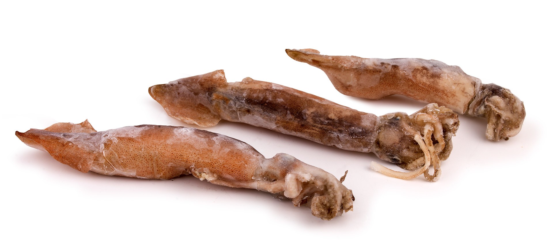 Pota Inteira Congelada Uli Avulso Cx 5 kg Pota Inteira Congelada Uli Avulso Cx 5 kg