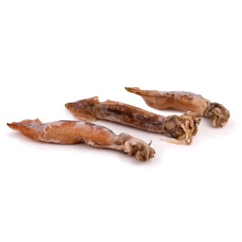 Pota Inteira Congelada Uli Avulso Cx 5 kg