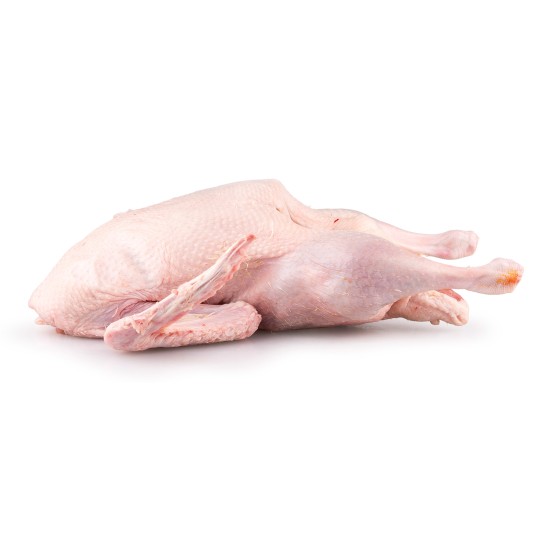 Pato c/ Midos Classe A Fresco Avulso