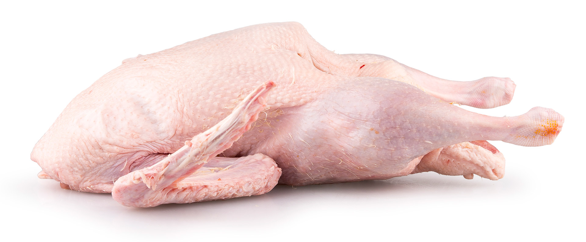 Pato c/ Mi�dos Classe A Fresco Avulso