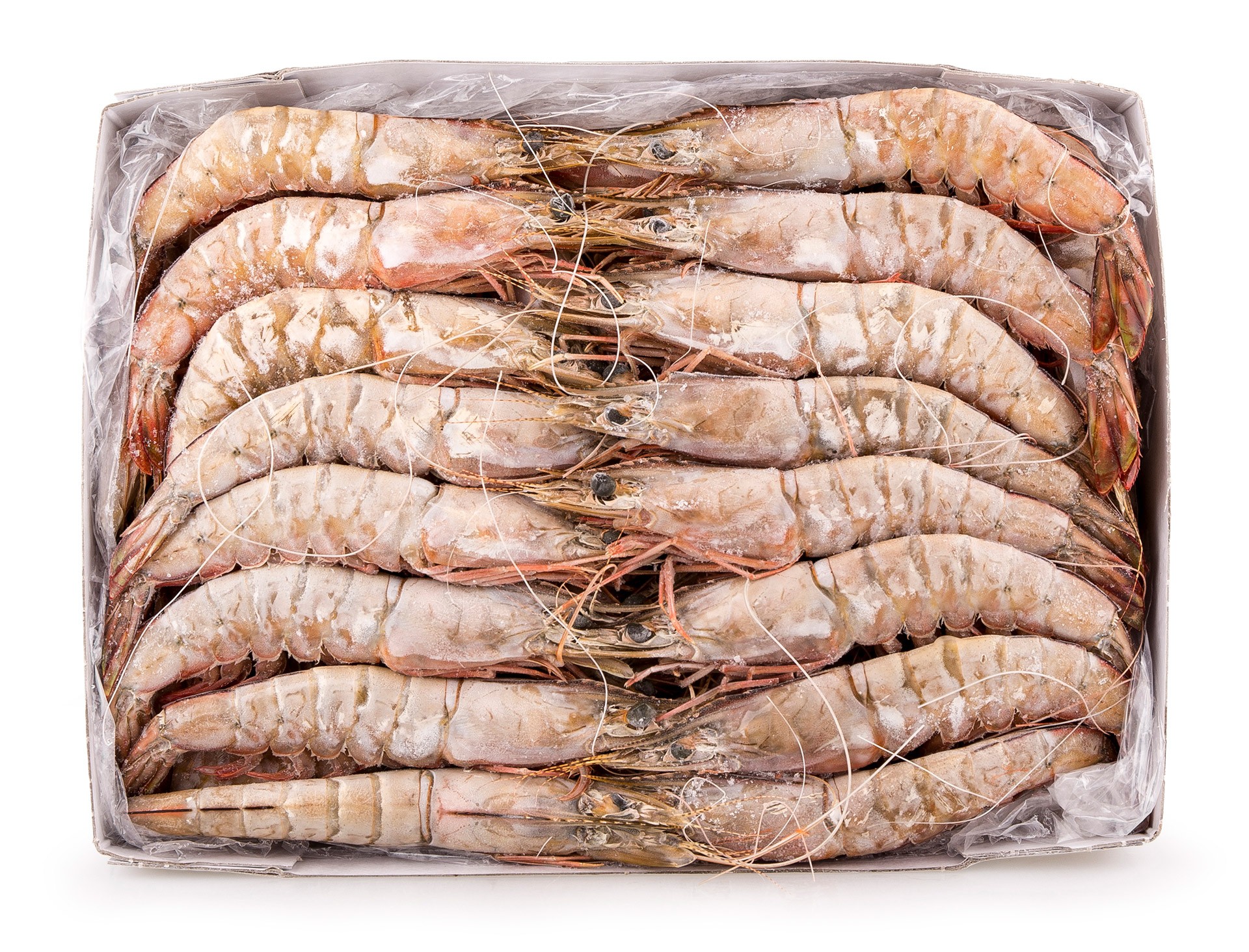 Camar�o 20/30 Congelado Mo�ambique Cx 2kg