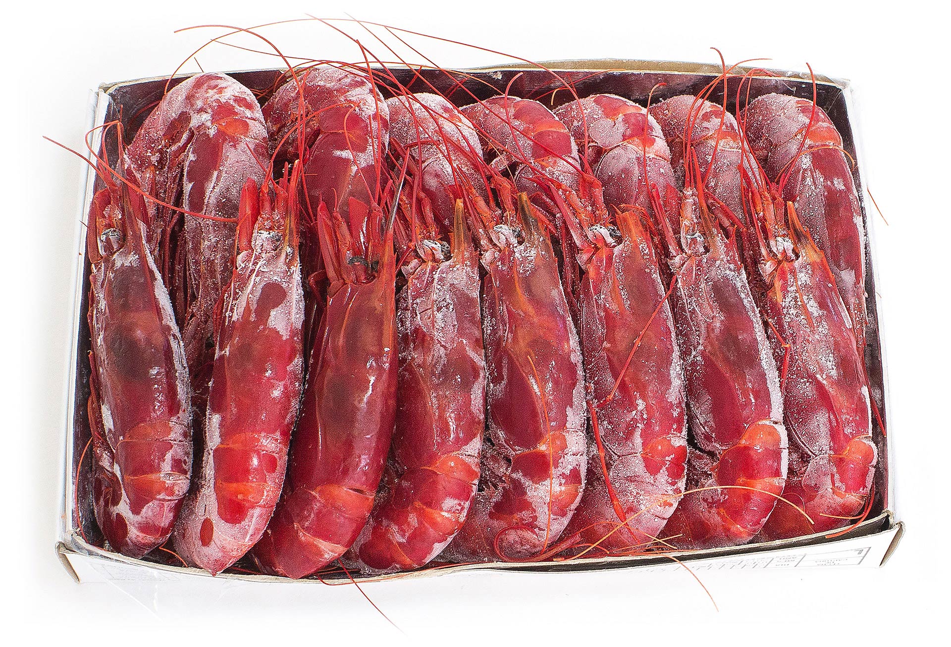 Carabineiro 12/14 Congelado Marrocos Cx IQF