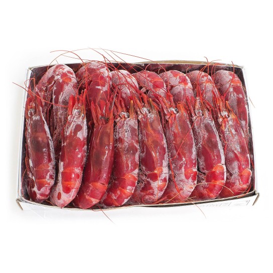 Carabineiro 12/14 Congelado Marrocos Cx IQF