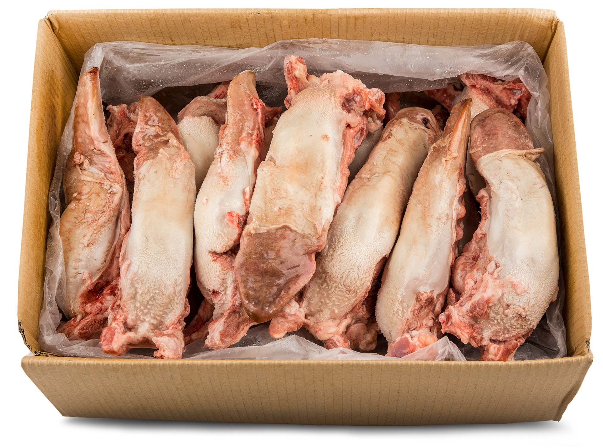 Porco Língua Congelada Avulso Porco Língua Congelada Avulso