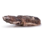 Choco Inteiro 50/100 g Congelado Cx 6 kg