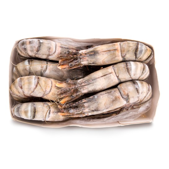 Camaro Tigre 2/4 Congelado Senegal Cx 2 kg
