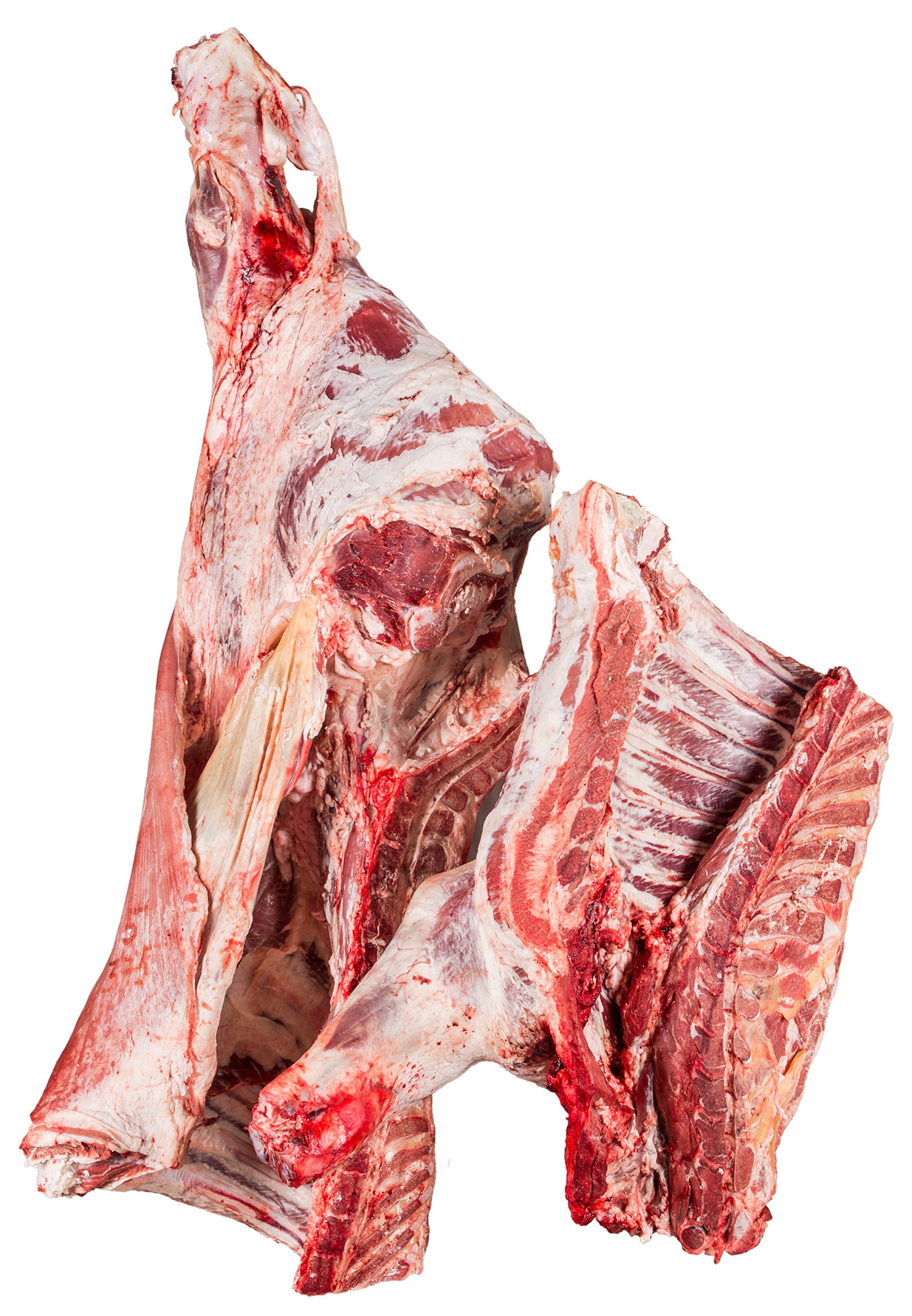 Novilha Inteira Fresca Nacional Novilha Inteira Fresca Nacional