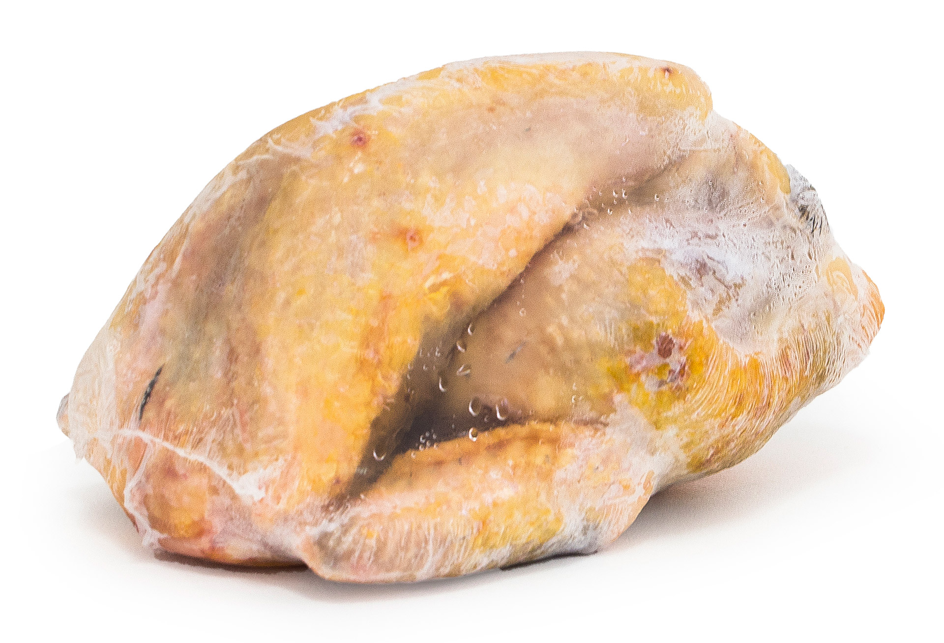 Pintada Inteira 1200/1500 g Congelada Embalada Pintada Inteira 1200/1500 g Congelada Embalada