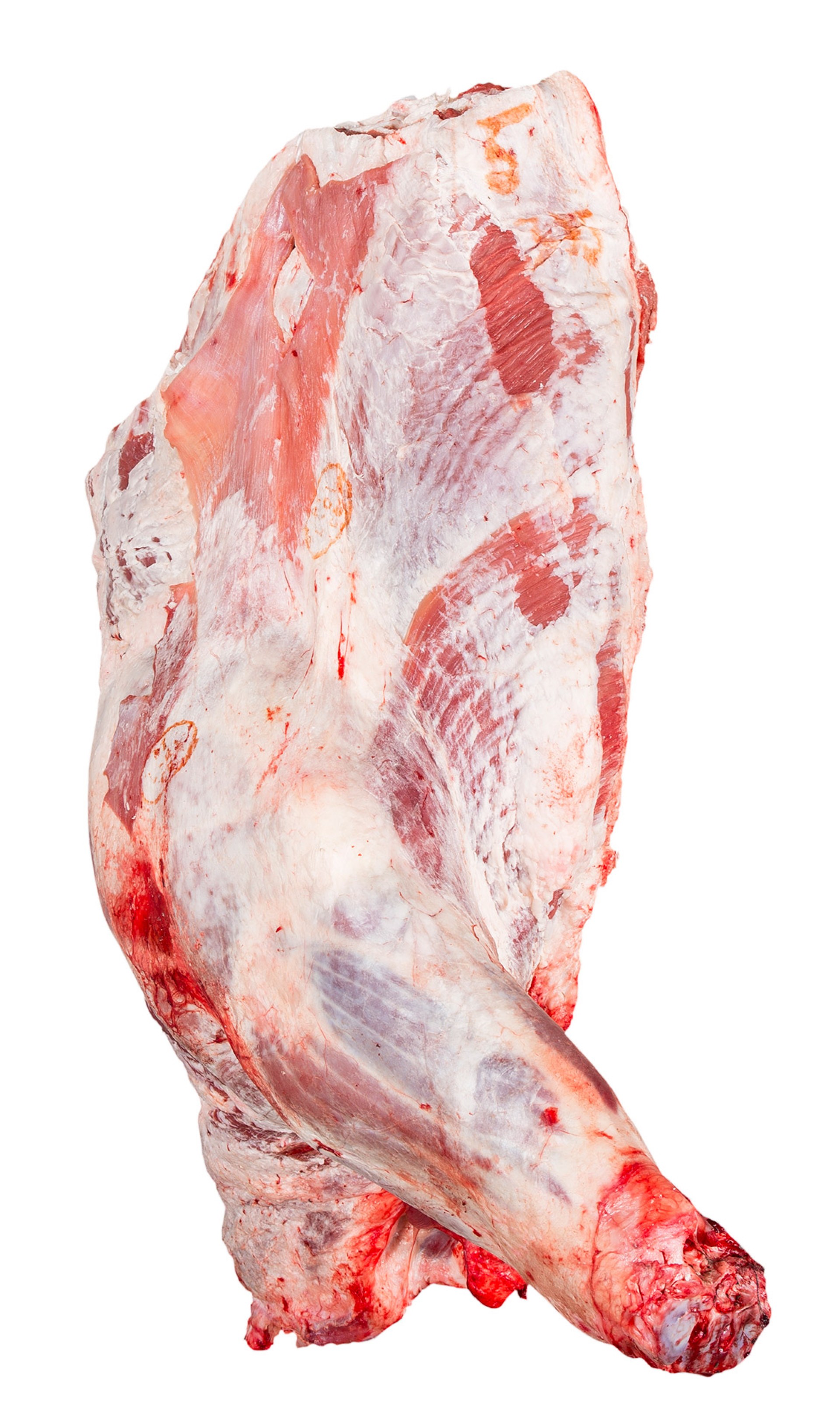 Novilho Dianteiro Fresco Nacional