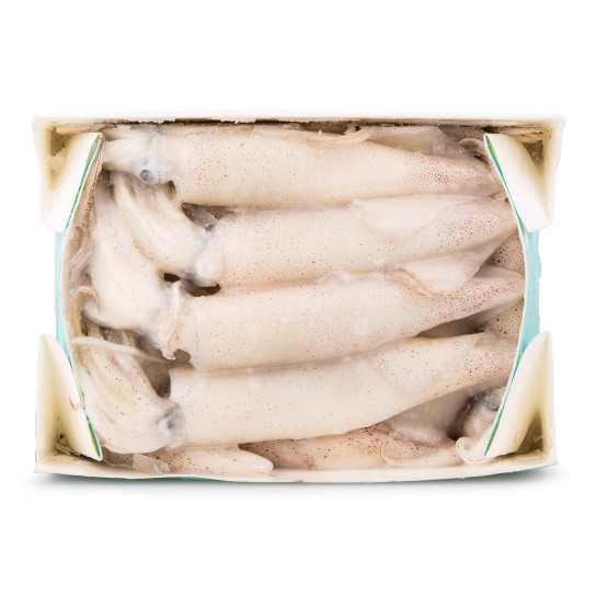 Lula Calif�rnia Congelada Cx 1 kg