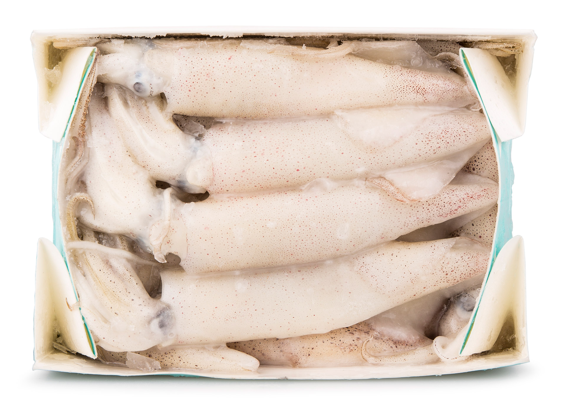 Lula Calif�rnia Congelada Cx 1 kg