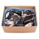 Peixe Espada Preto Posta Congelado Cx 5 kg