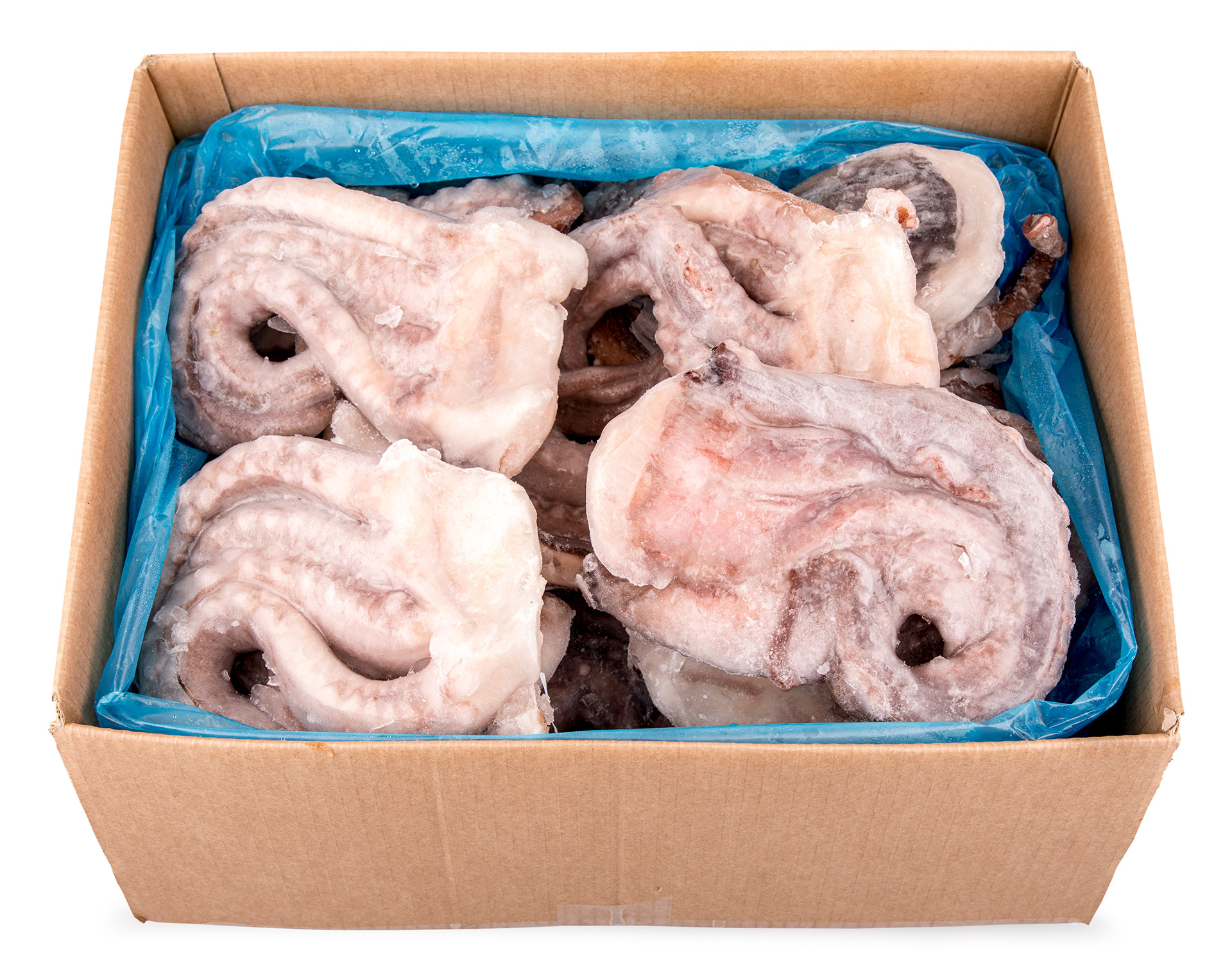 Tent�culos Pota 1/2 kg Congelados Cx 10 kg