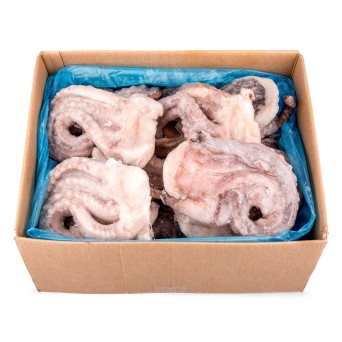 Tentculos Pota 1/2 kg Congelados Cx 10 kg