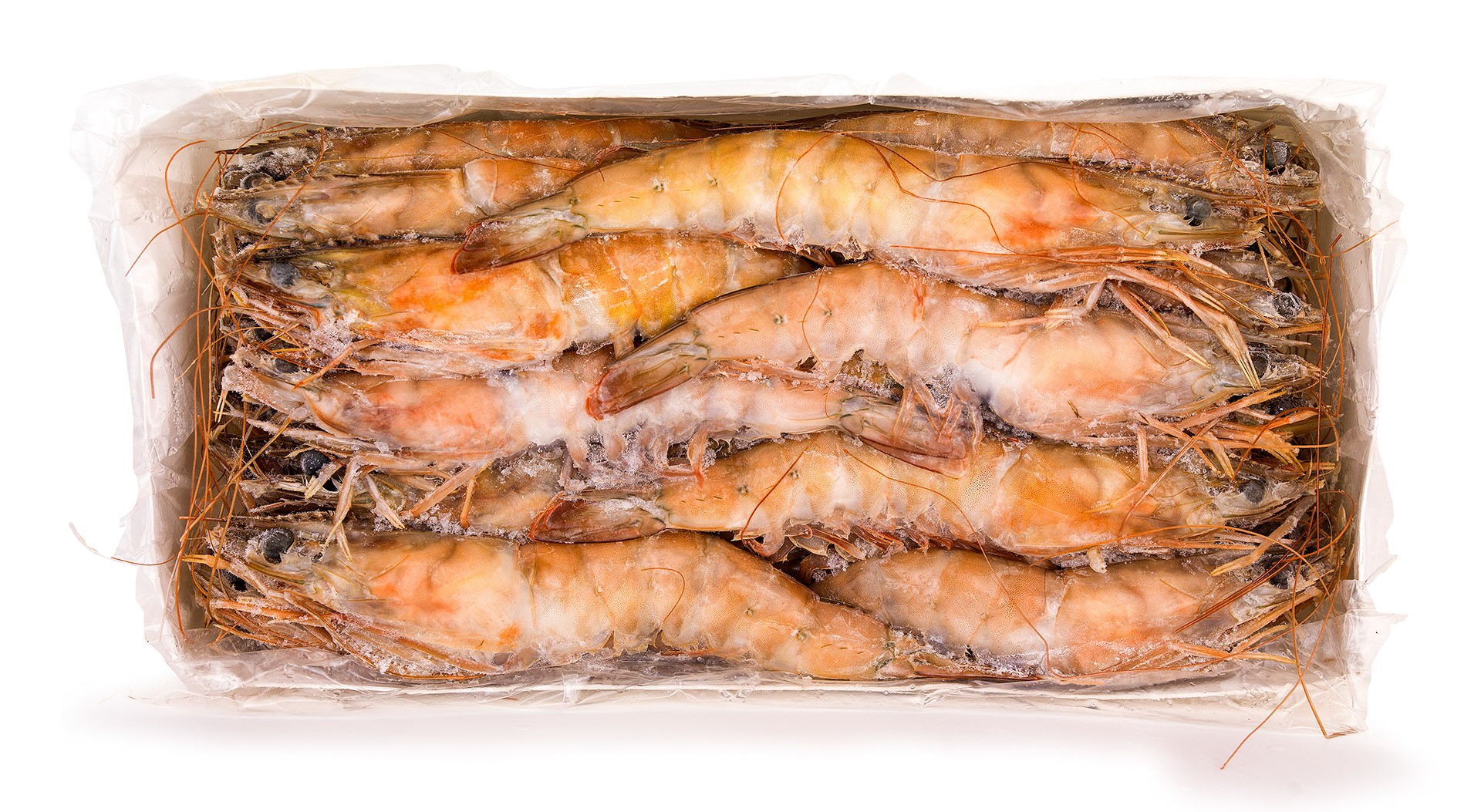 Camarão White 10/20 Congelado Nigéria Cx 2kg Camarão White 10/20 Congelado Nigéria Cx 2kg