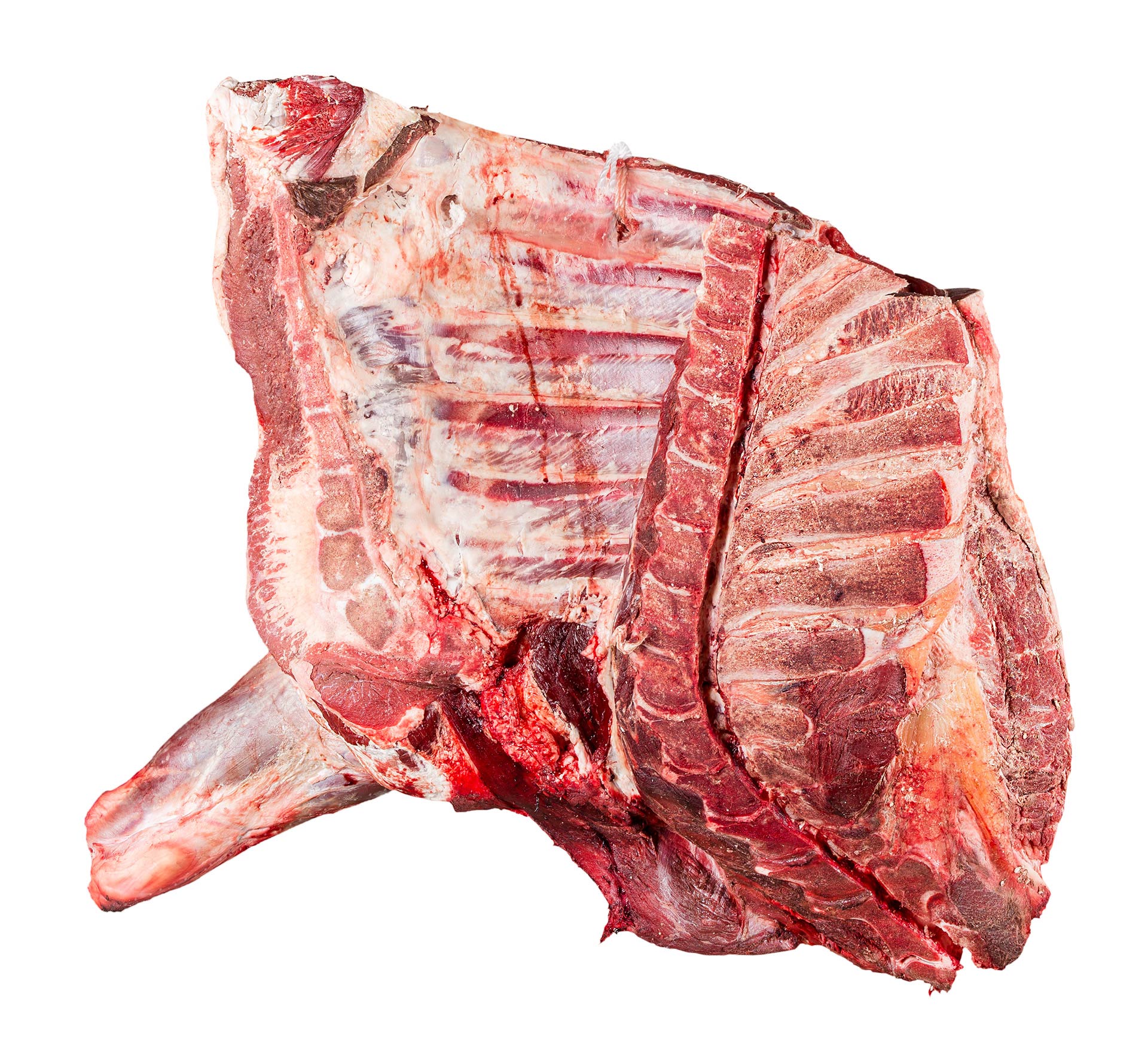 Novilho Dianteiro Fresco Nacional