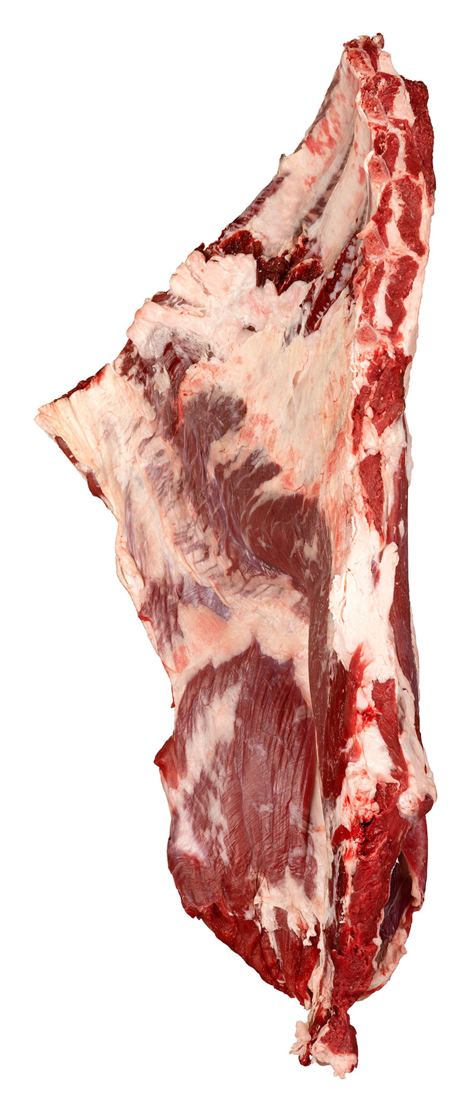 Novilho Aba c/ Osso Fresca Nacional Uli