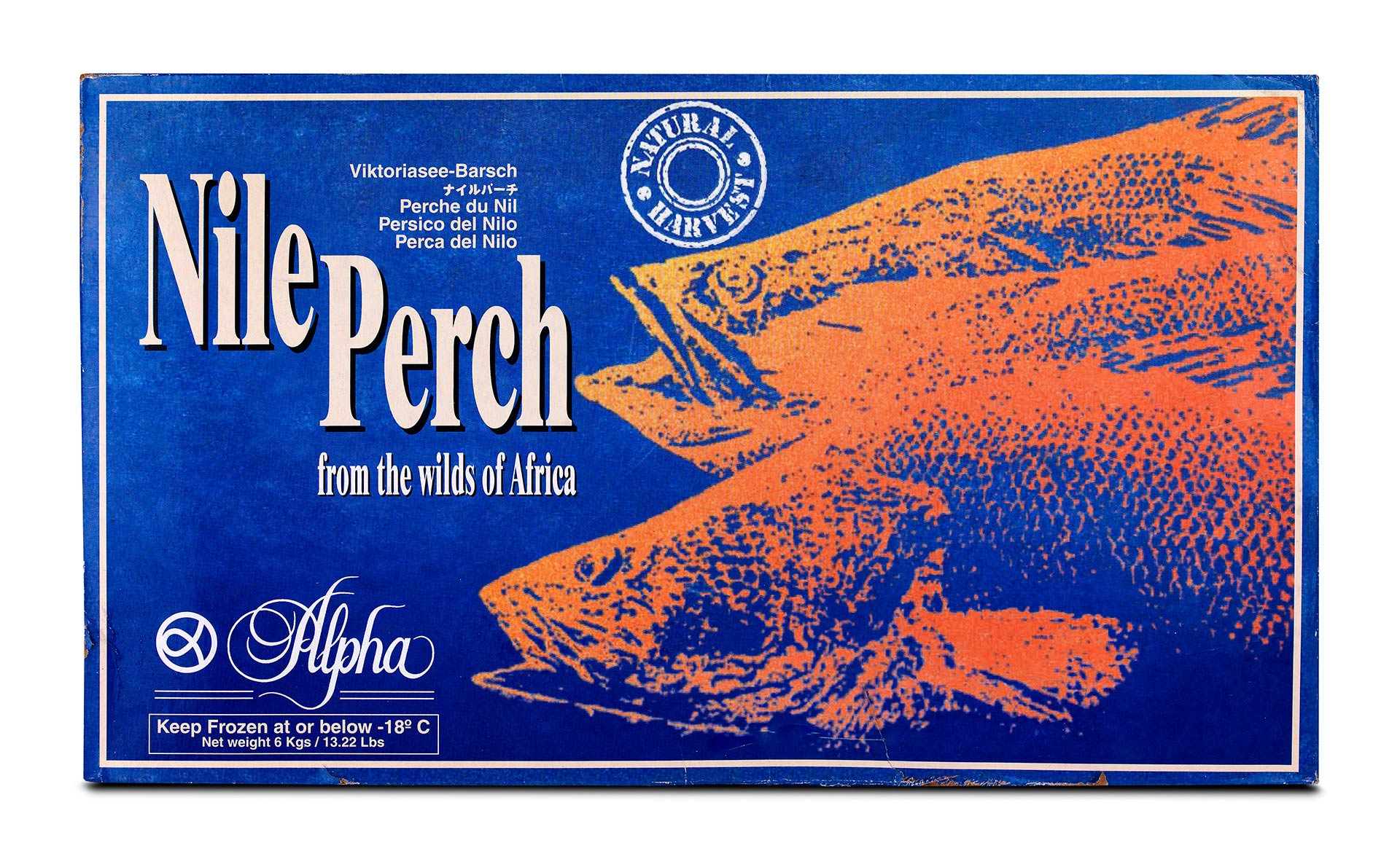 Filete Perca 1000/2000 g Congelado Nilo Cx 6 kg Filete Perca 1000/2000 g Congelado Nilo Cx 6 kg