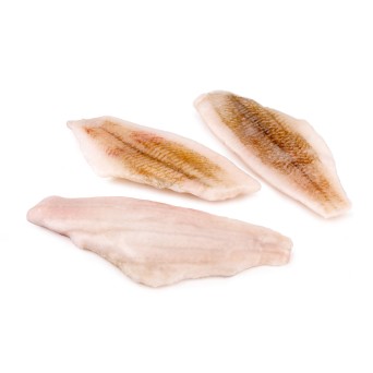 Filete Solha s/ Pele 100/130 g Congelado Cx 5 kg