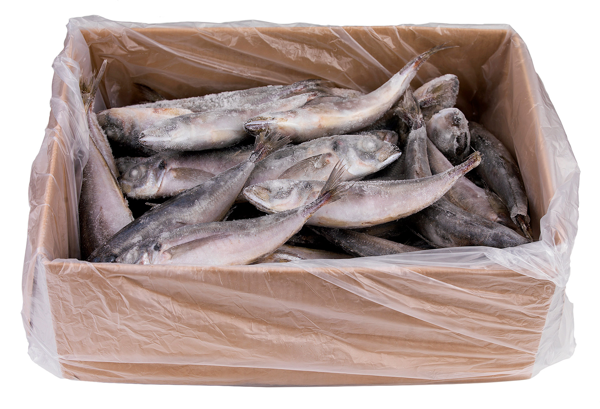 Carapau Branco 6/8 Congelado Uli Cx 6 kg Carapau Branco 6/8 Congelado Uli Cx 6 kg