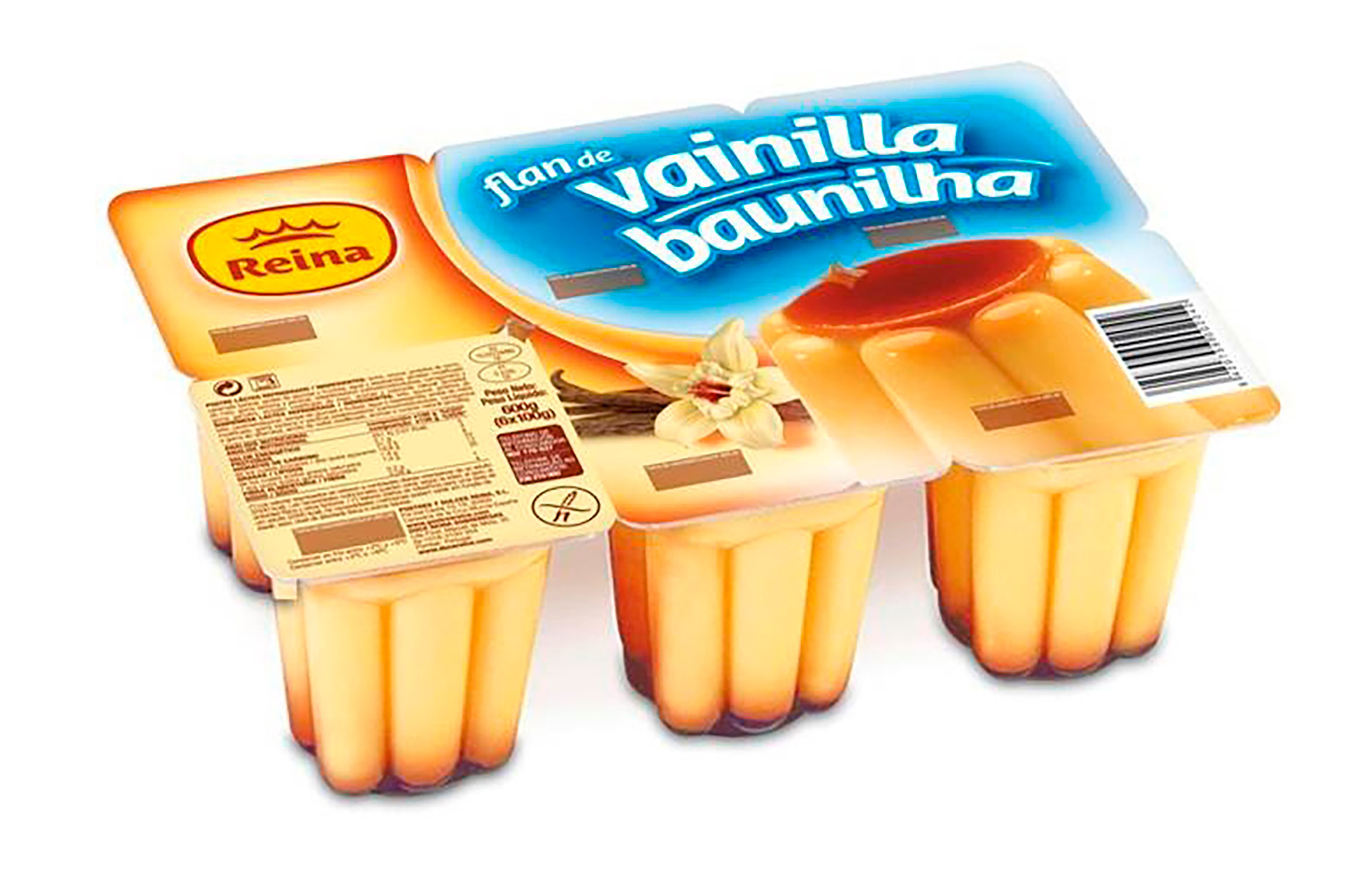 Pudim Flan Baunilha Reina 8x(6x100 g)