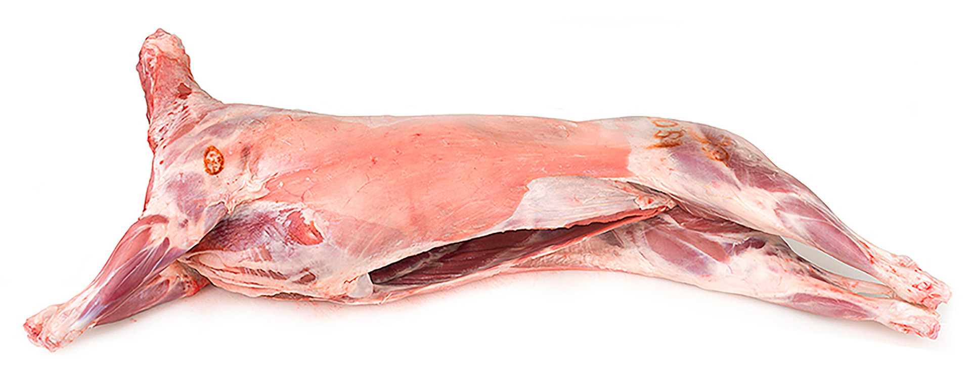 Borrego s/ Fressura 10/14 kg Fresco Nacional