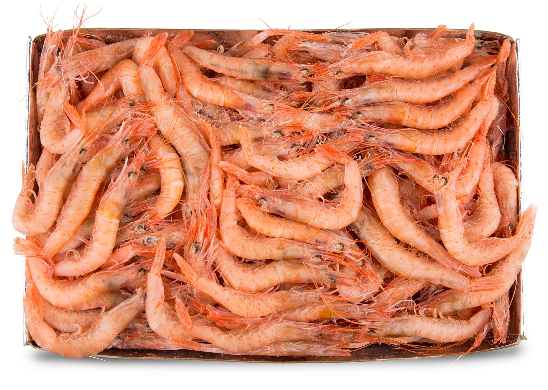 Gamba Branca 200/250 Congelada Cx IQF