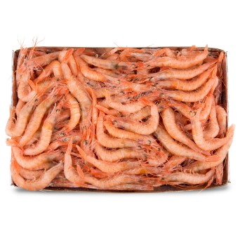 Gamba Branca 200/250 Congelada Cx IQF