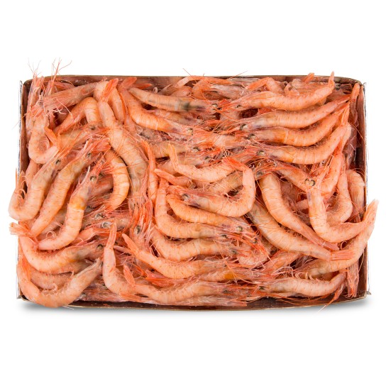 Gamba Branca 200/250 Congelada Cx IQF