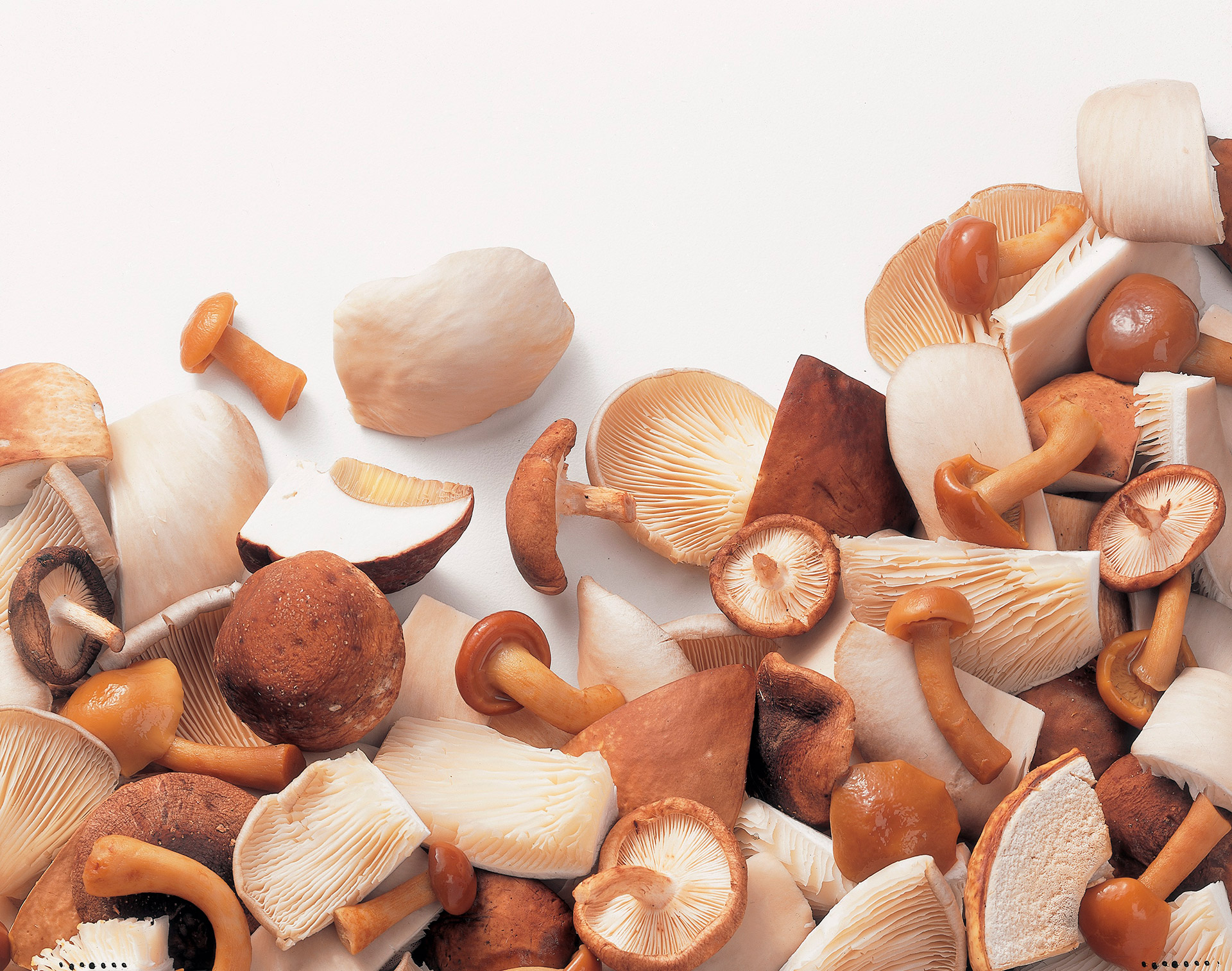 Mistura Cogumelos Silvestre Congelados Ardo 10x600 g