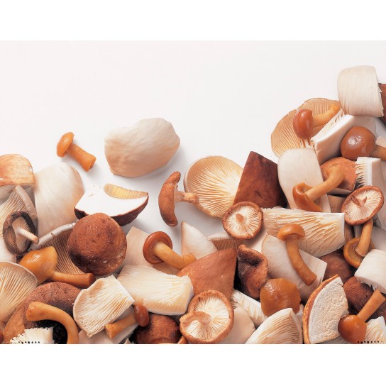 Mistura Cogumelos Silvestre Congelados Ardo 10x600 g