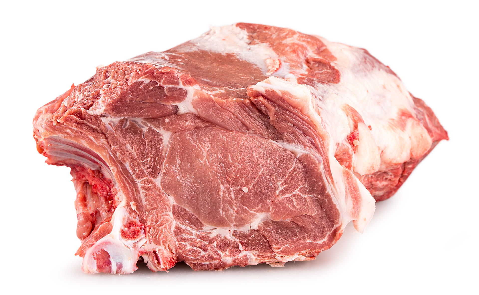 Porco Cacha�o c/ Osso Fresco Uli