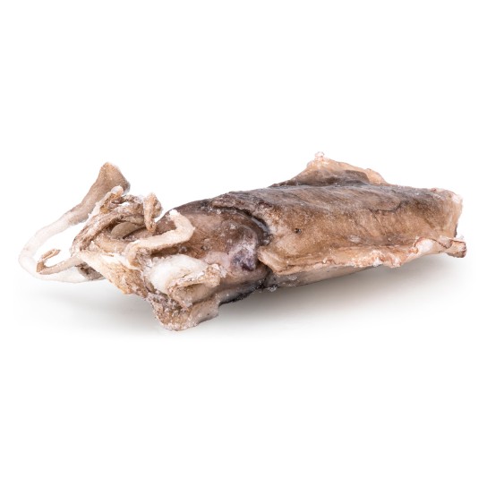 Choco Inteiro 300/400 g Congelado Cx 6 kg
