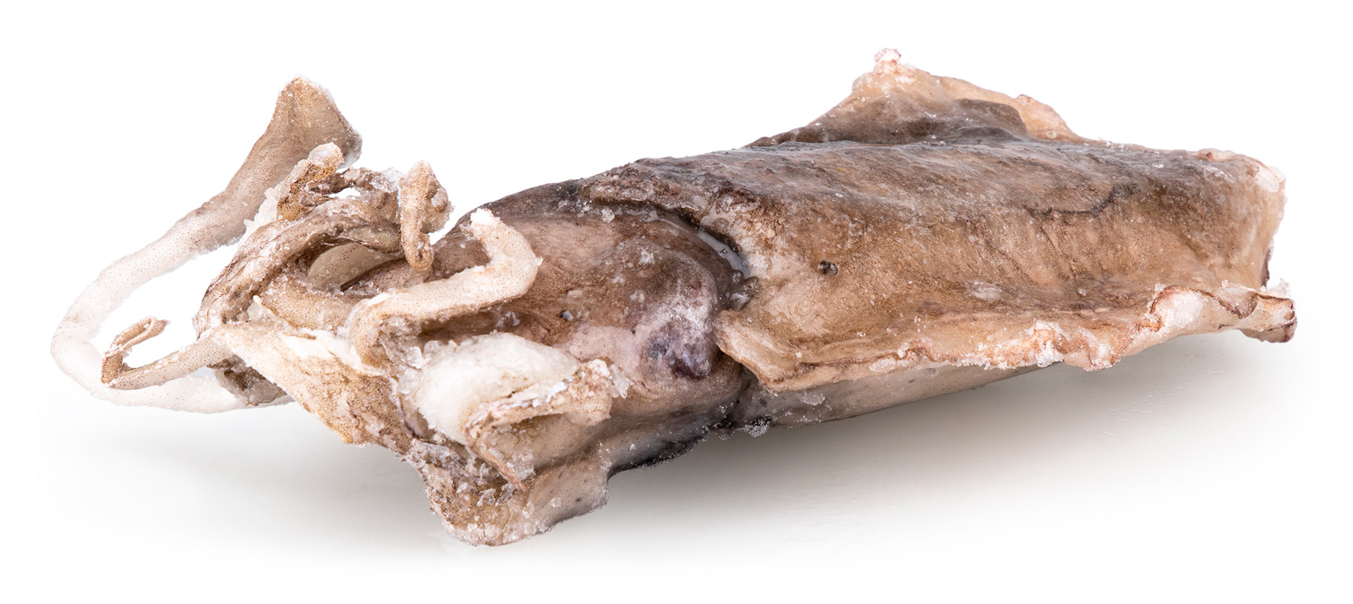 Choco Inteiro 300/400 g Congelado Cx 6 kg