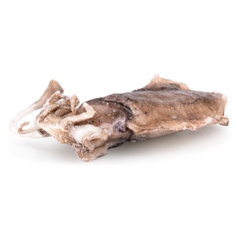 Choco Inteiro 300/400 g Congelado Cx 6 kg